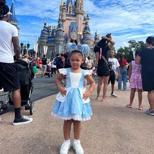 Cinderella Disney Dress